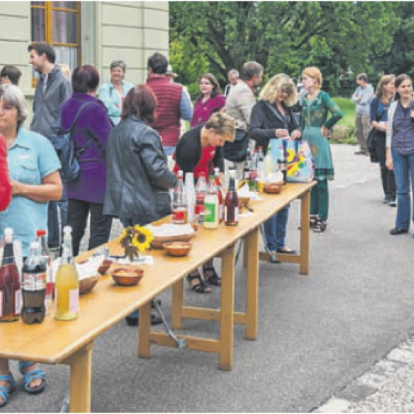 Gemeinschaftsfest 2015